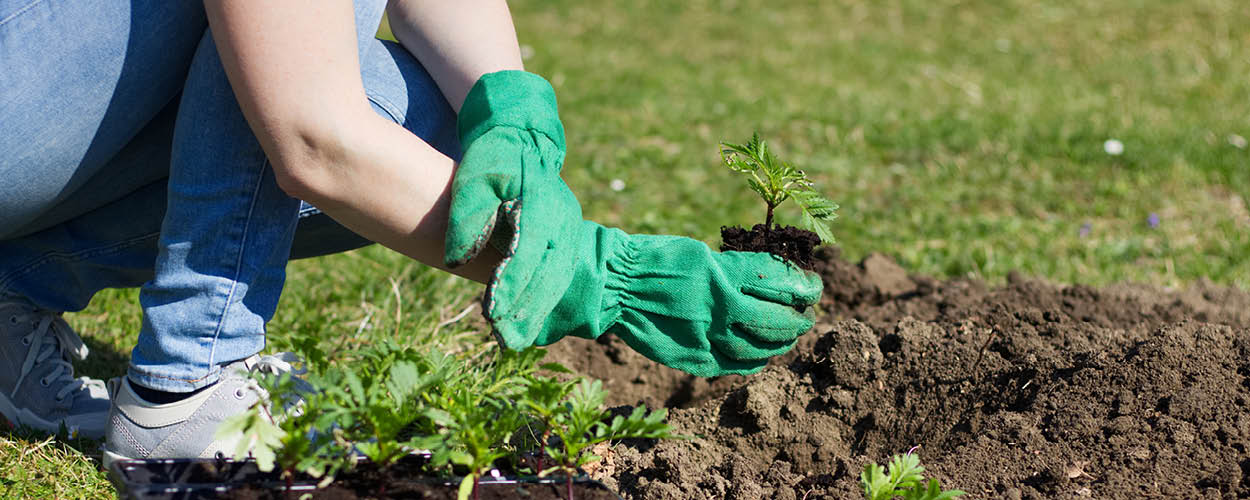 corso giovani operatore agricolo