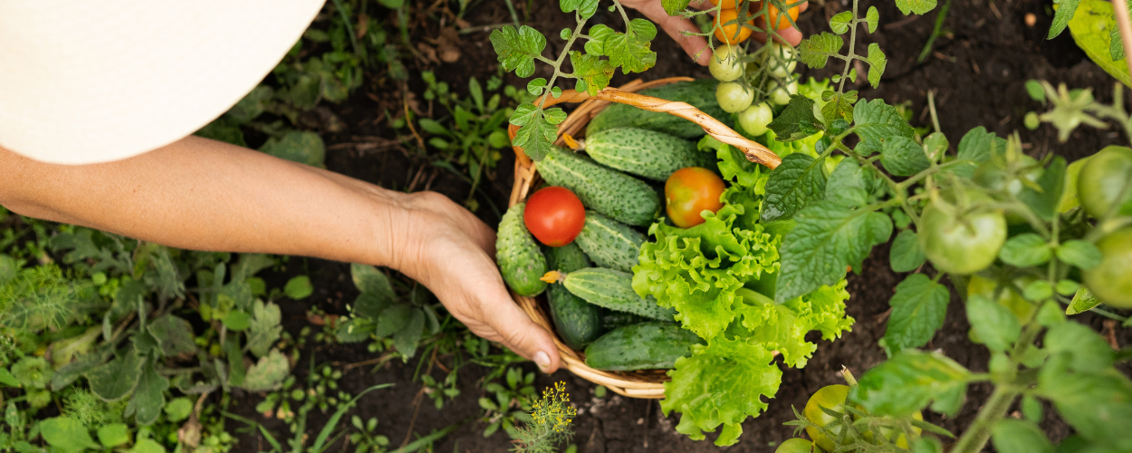 Le primizie dell'orto