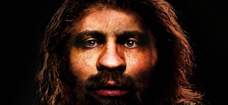 Homo Sapiens