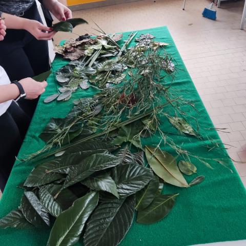 arte e sensazioni ludico espressive