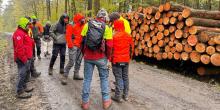 Utilizzazione Forestale Terrestre con Macchine Avanzate