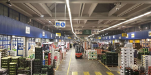 Logistica